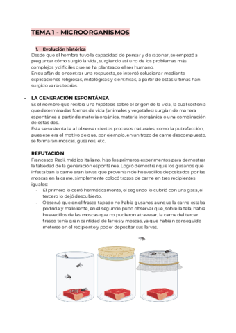 T1-ENSAYOS-MICROBIOLOGICOS-MICROORGANISMOS.pdf