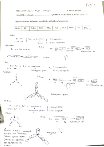 TRABAJO CORREGIDO Q.Inorgánica.pdf
