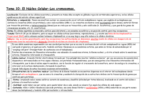 Tema 10 - El Núcleo Celular - Los cromosomas.pdf