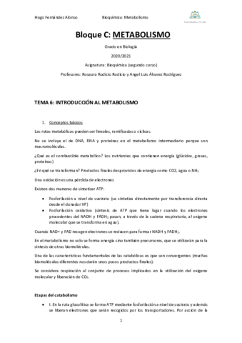 Apuntes-metabolismo-I.pdf