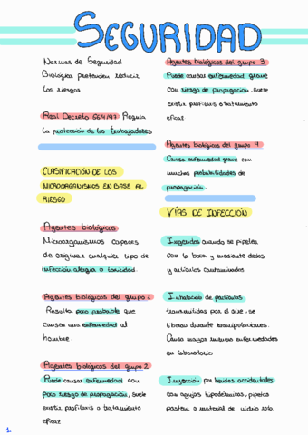 Seguridad-en-el-laboratorio211017195548.pdf