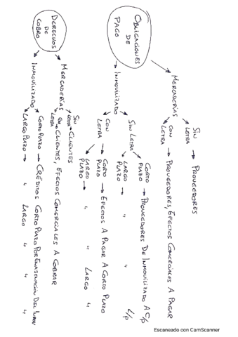 Esquema-Obligaciones-de-pago-y-Derechos-de-cobro.pdf