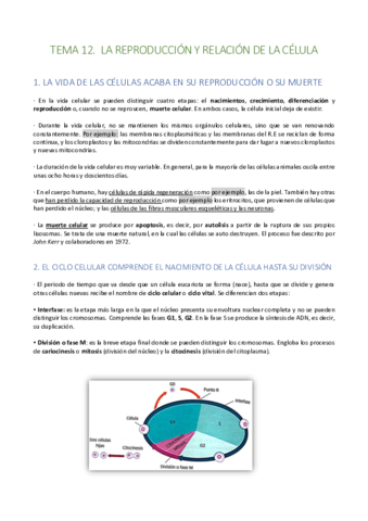 Tema-12.pdf