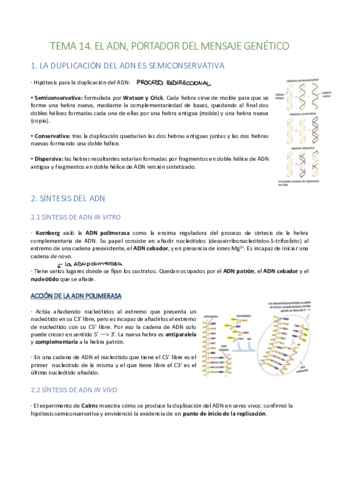 Tema-14.pdf