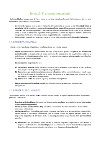 TEMA-19.pdf