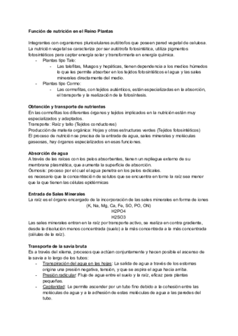 Tema-12-y-13.pdf