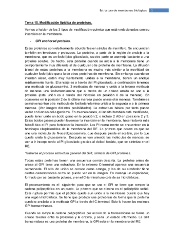 Tema 15.pdf
