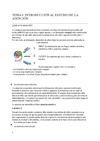 TEMA-1-INTRO.pdf