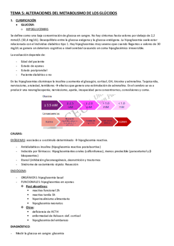 TEMA-5.pdf