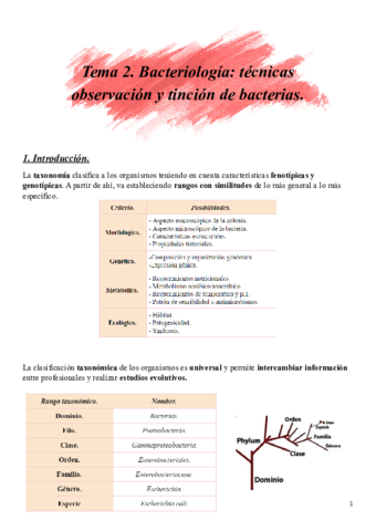 Tema-2-micro.pdf