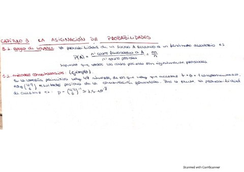 mini-resumen-teorico-capitulo-3.pdf