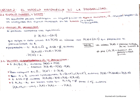 mini-resumen-teorico-capitulo-2.pdf