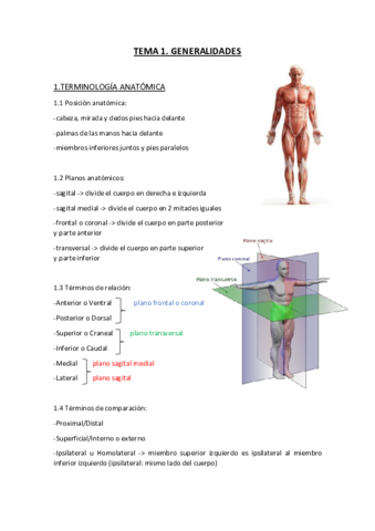 Tema-1-ANATOMIA-Generalidades.pdf