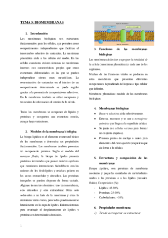 Tema-5-bioq.pdf