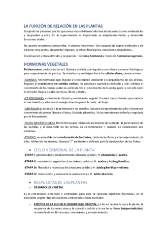 TEMA-13.pdf