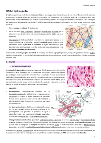 Tema-2.pdf