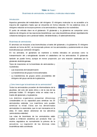 Resumen-16.pdf