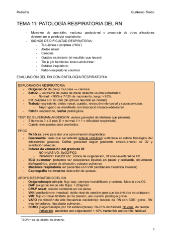 T11-Patologia-respiratoria-del-RN.pdf