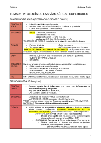 T3-Patologia-de-las-vias-aereas-superiores-.pdf