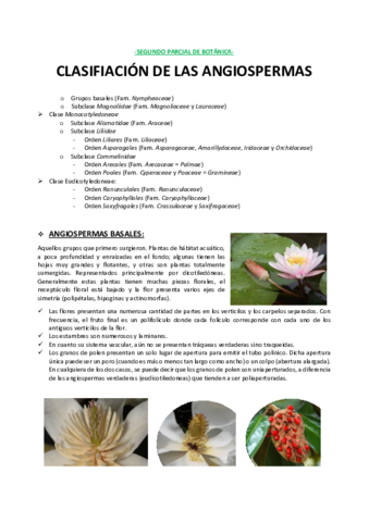 Apuntes-segundo-parcial-Botanica.pdf