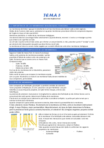 tema-5-biomembranes.pdf