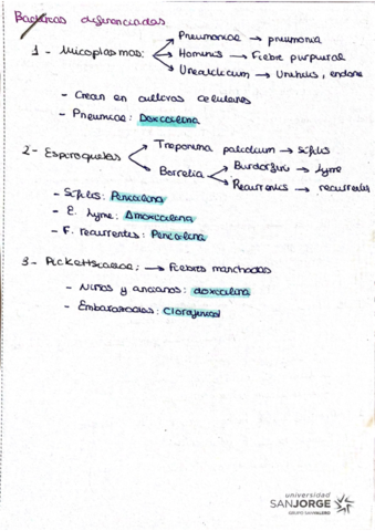 Notebloc6D81441B-B3D5-4A28-AF90-5FB6C8EABCF3-8328-00000544495CFE98.pdf