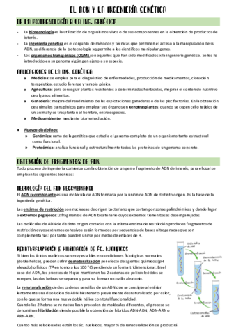 El-ADN-y-la-ingenieria-genetica.pdf