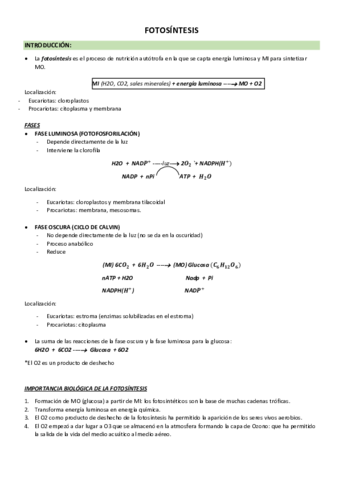 Fotosintesis.pdf