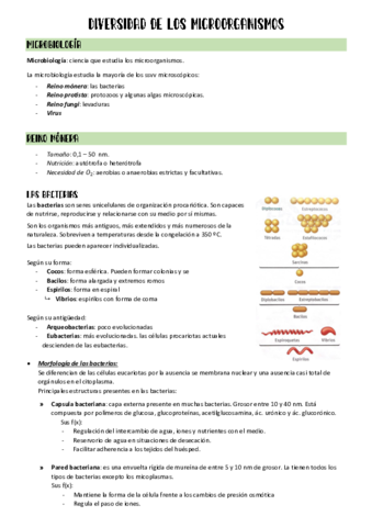 Microbiologia.pdf