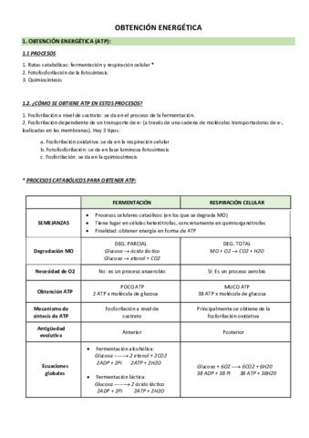 Obtencion-energia-celular.pdf