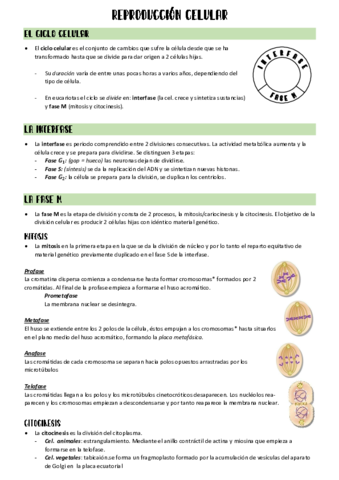 Reproduccion-celular.pdf