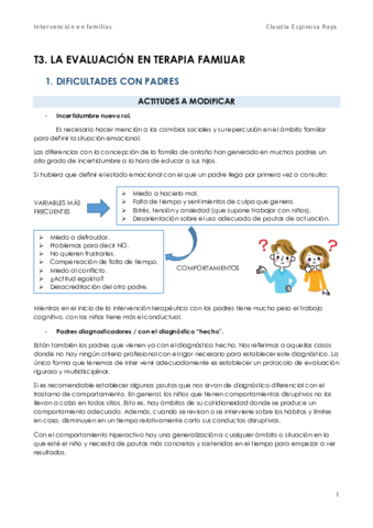 T3-FAM.pdf