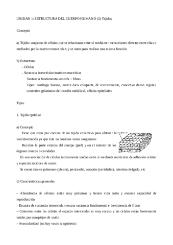 UD1.pdf