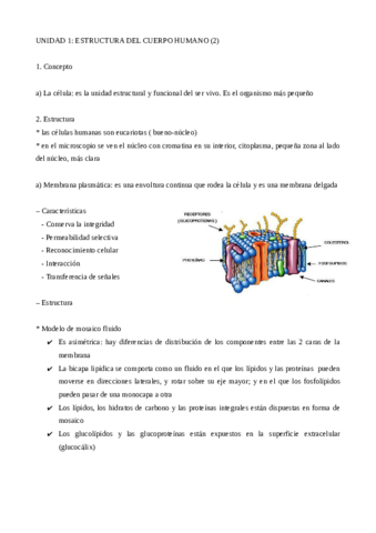 UD1.pdf