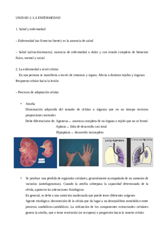 UD2-color.pdf
