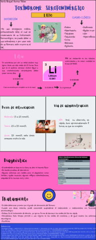LITIO.pdf