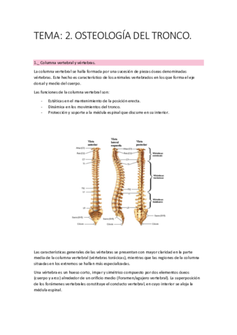 Tema-2.pdf