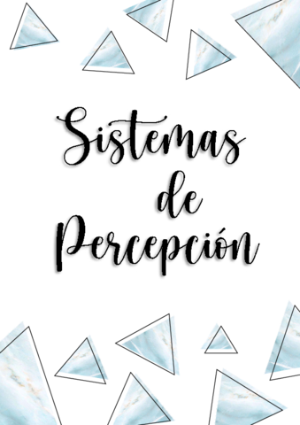 ApuntesSistemas-de-Percepcion.pdf
