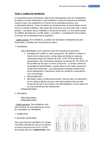 Tema 1.pdf