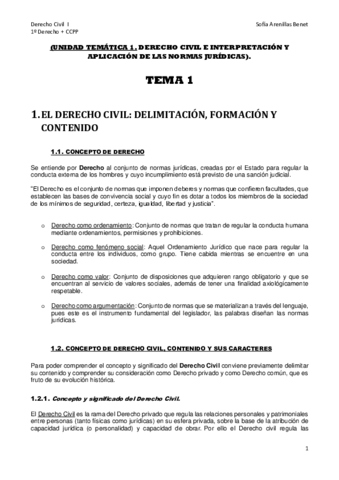 DCVL-I-TEMA-1.pdf