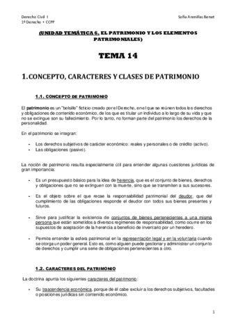 DCVL-I-TEMA-14.pdf