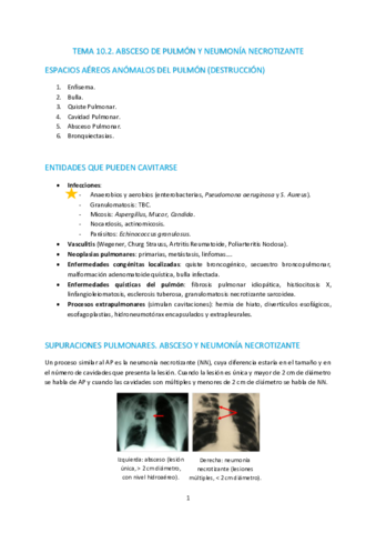 T10-2-Absceso-y-neumonia-necotizante.pdf