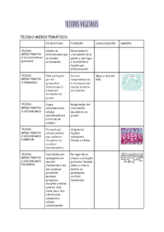 TEJIDOS-VEGETALES.pdf