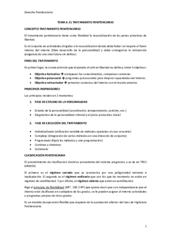 TEMA-6-DERECHOS-PENITENCIARIO.pdf