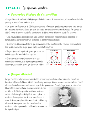 Estandar-1.pdf