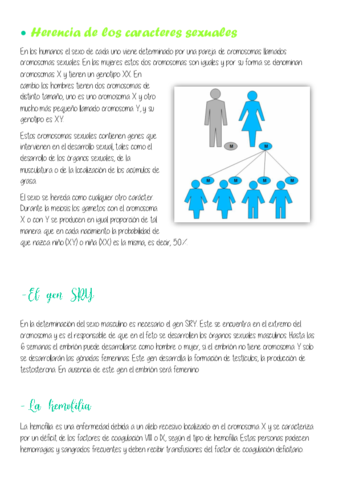 Estandar-2.pdf