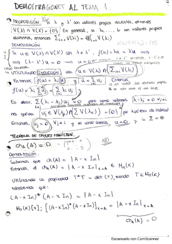 DEMOSTRACIONESALSMD.pdf