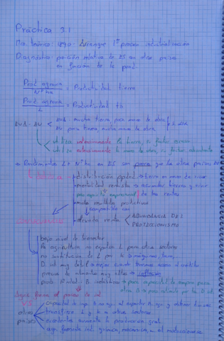 Practicas-T3-HEE.pdf