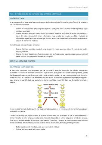 Anatomia-Humana-Especial-6.pdf