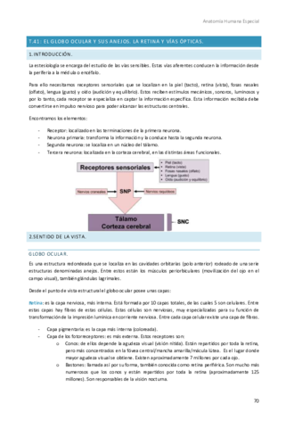 Anatomia-Humana-Especial-9.pdf